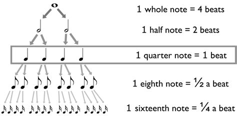 how long is a beat in music? the length of time it takes for the heart to beat